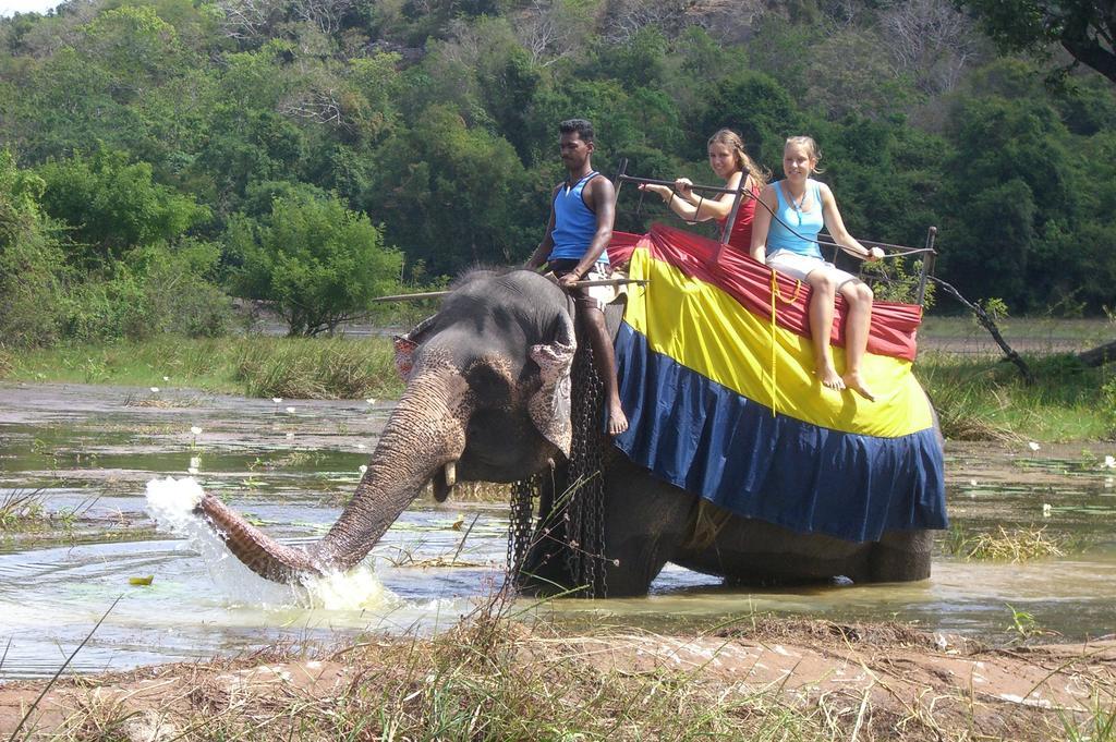 Risenlak Holiday Resort Polonnaruwa Eksteriør bilde