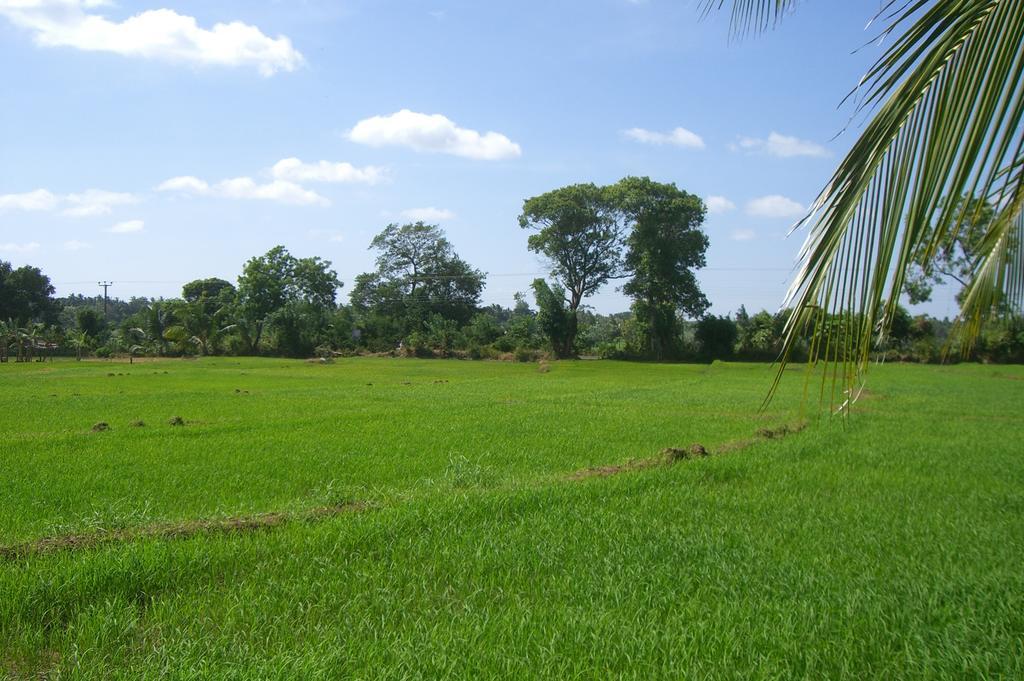 Risenlak Holiday Resort Polonnaruwa Eksteriør bilde