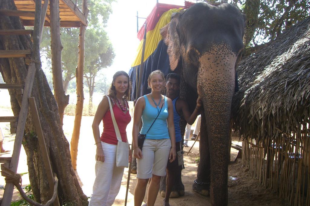 Risenlak Holiday Resort Polonnaruwa Eksteriør bilde