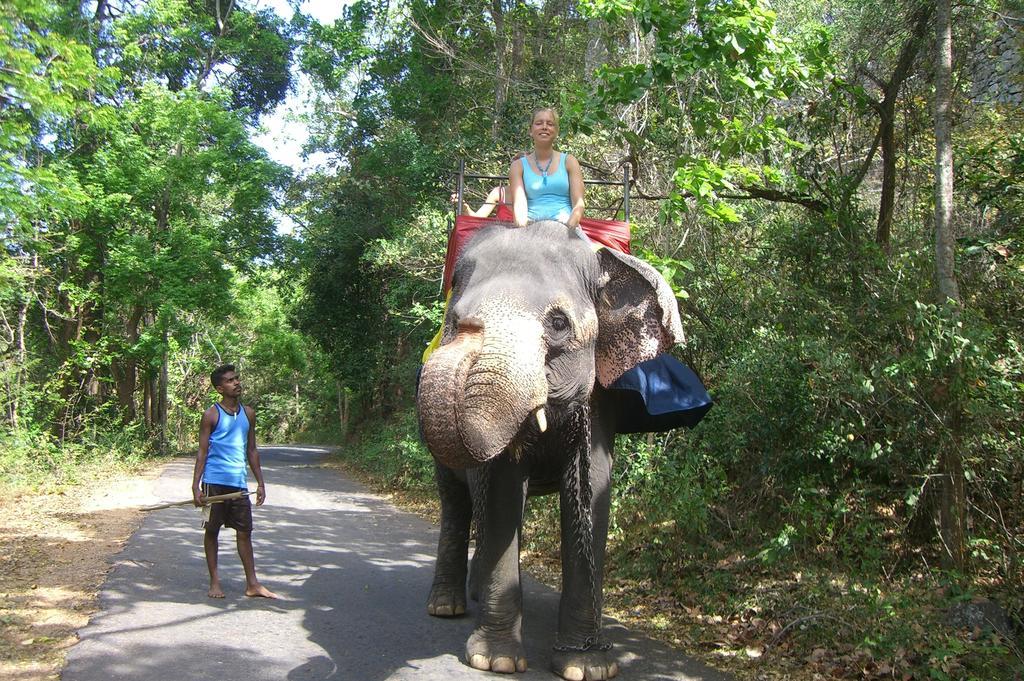 Risenlak Holiday Resort Polonnaruwa Eksteriør bilde