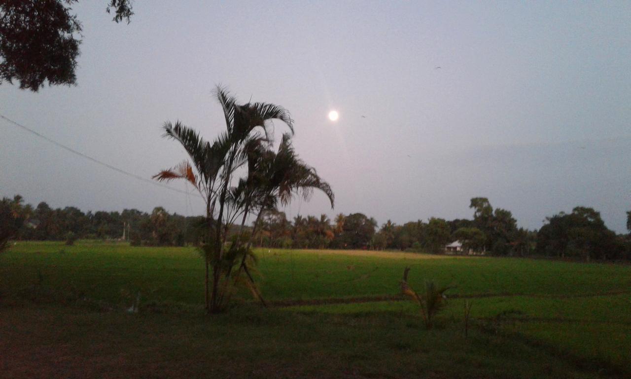 Risenlak Holiday Resort Polonnaruwa Eksteriør bilde